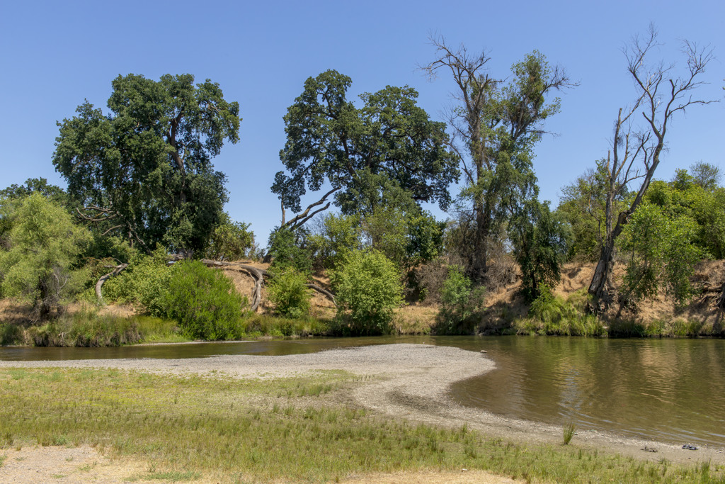 Mcconnell State Recreation Campground