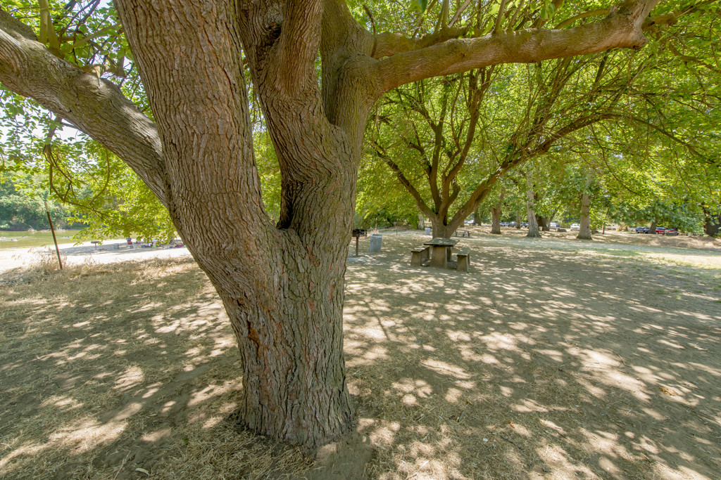 California State Parks
