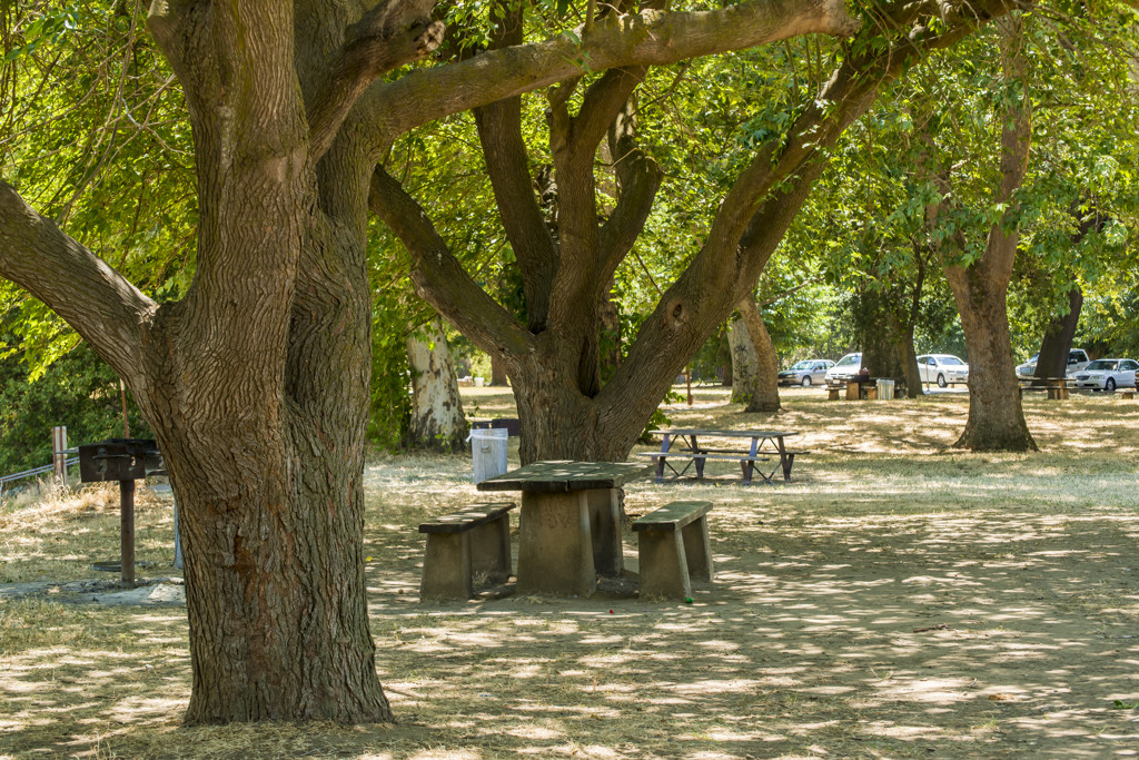 Mcconnell State Recreation Campground