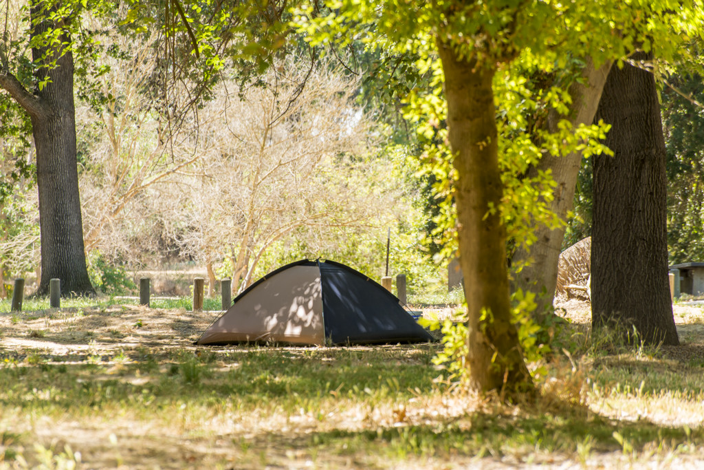 Mcconnell State Recreation Campground