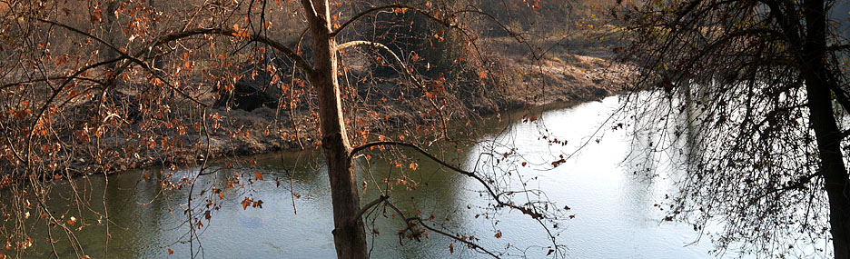 Mcconnell State Recreation Campground