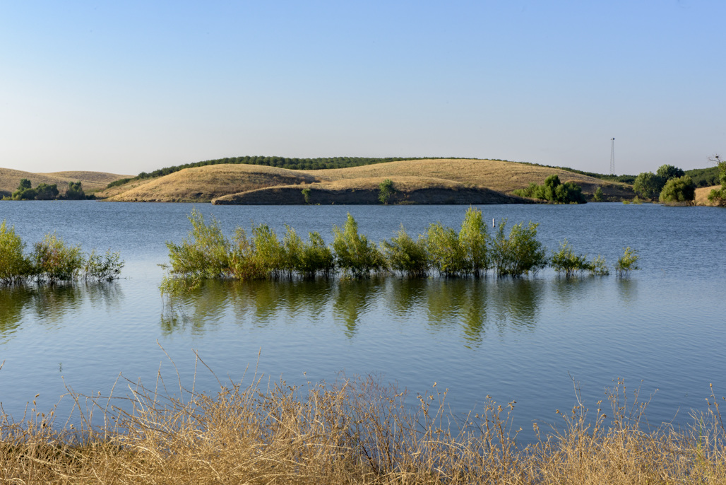 Turlock Lake State Recreation Area Campground