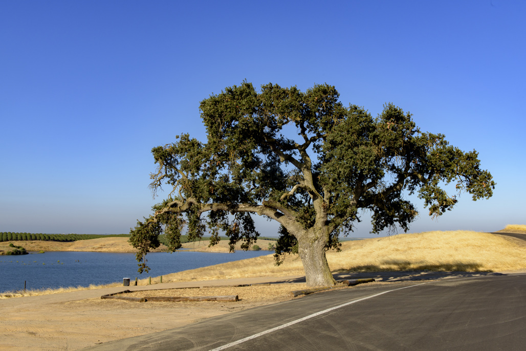 Turlock Lake State Recreation Area Campground