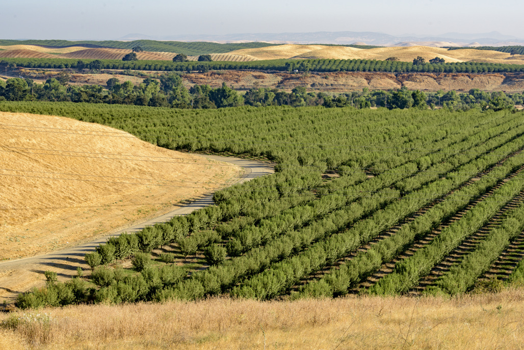Turlock Lake State Recreation Area Campground