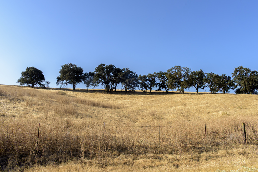 California State Parks