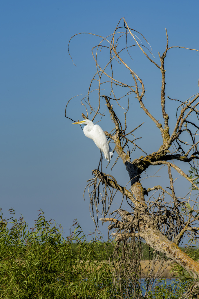 Turlock Lake State Recreation Area Campground