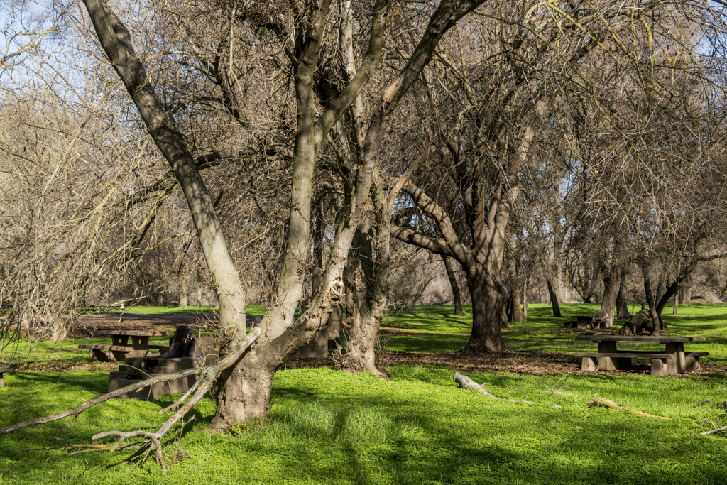 California State Parks