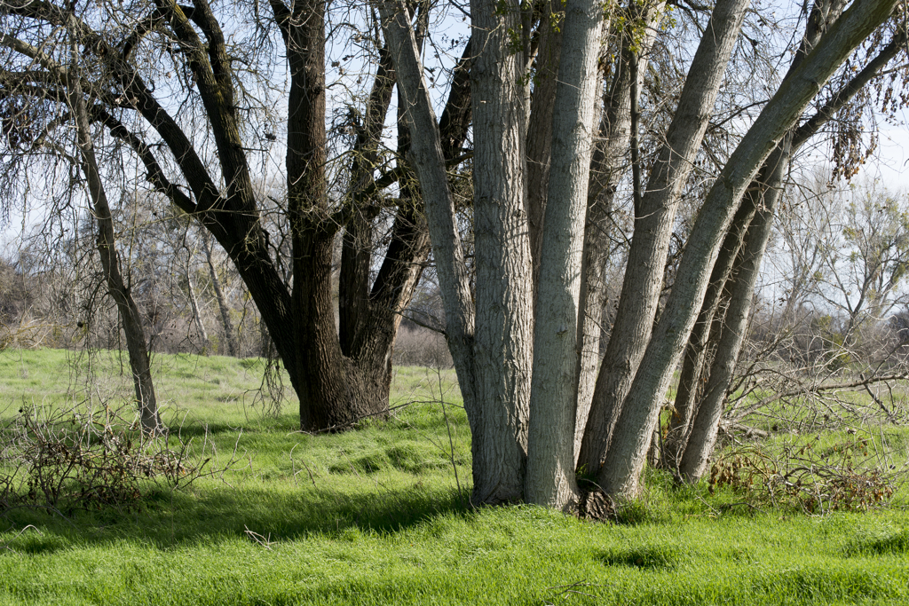 George Hatfield Group Campground