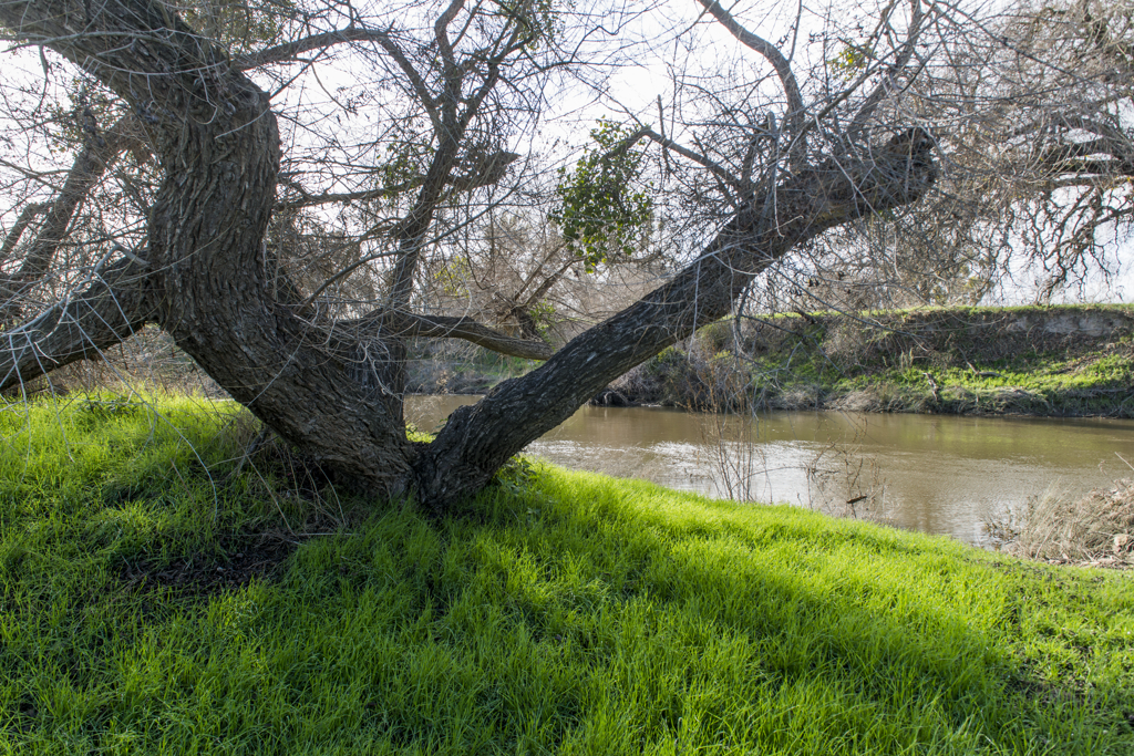 California State Parks