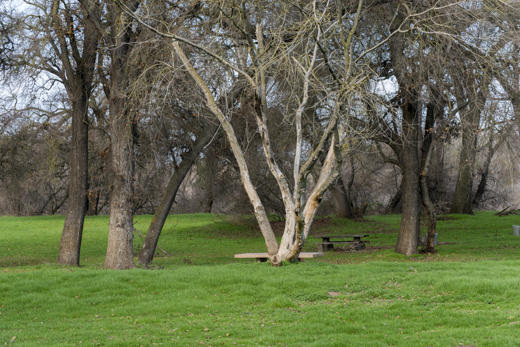 California State Parks
