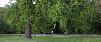 George Hatfield Group Campground