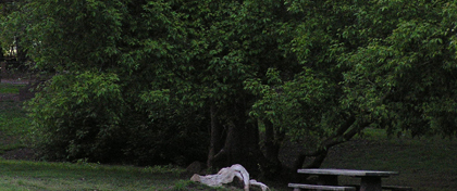 George Hatfield Group Campground