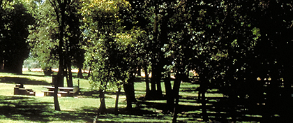 George Hatfield Group Campground