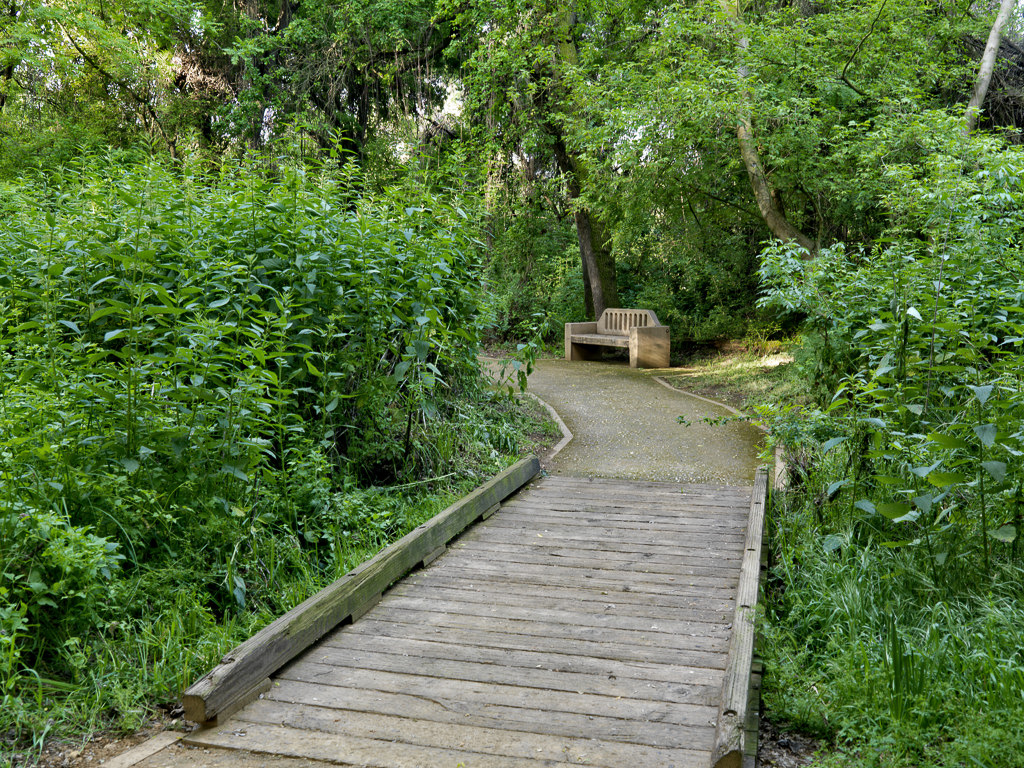 Caswell Memorial State Park Campground