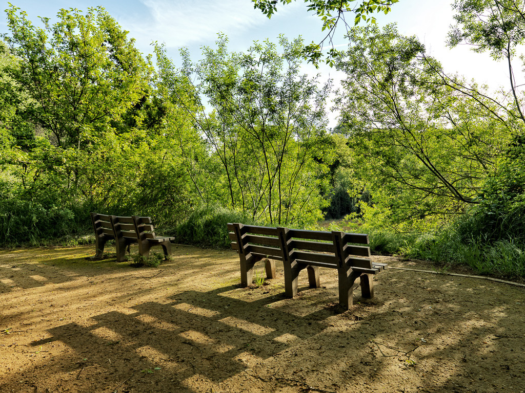 Caswell Memorial State Park Campground