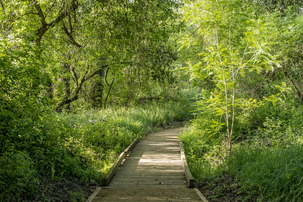 Caswell Memorial State Park Campground