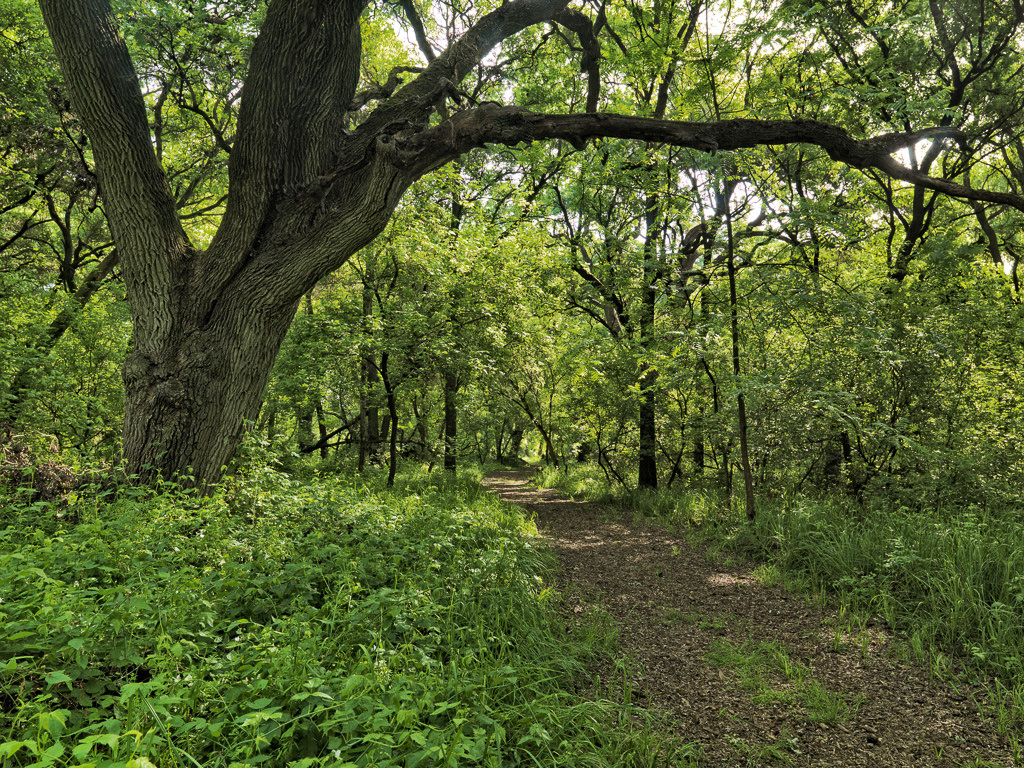 Caswell Memorial State Park Campground