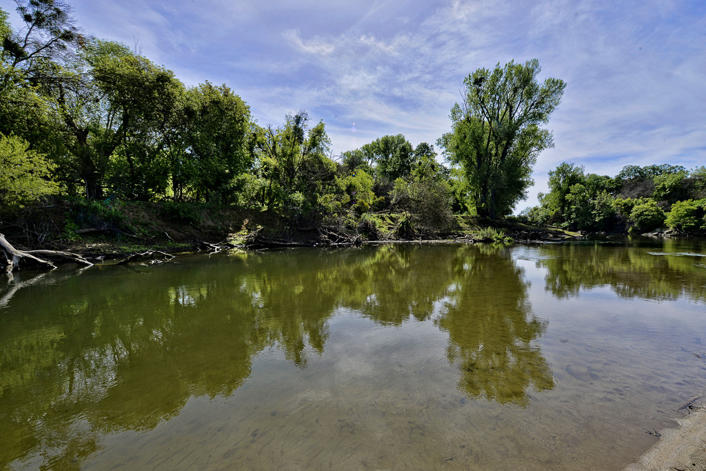 Caswell Memorial State Park Campground