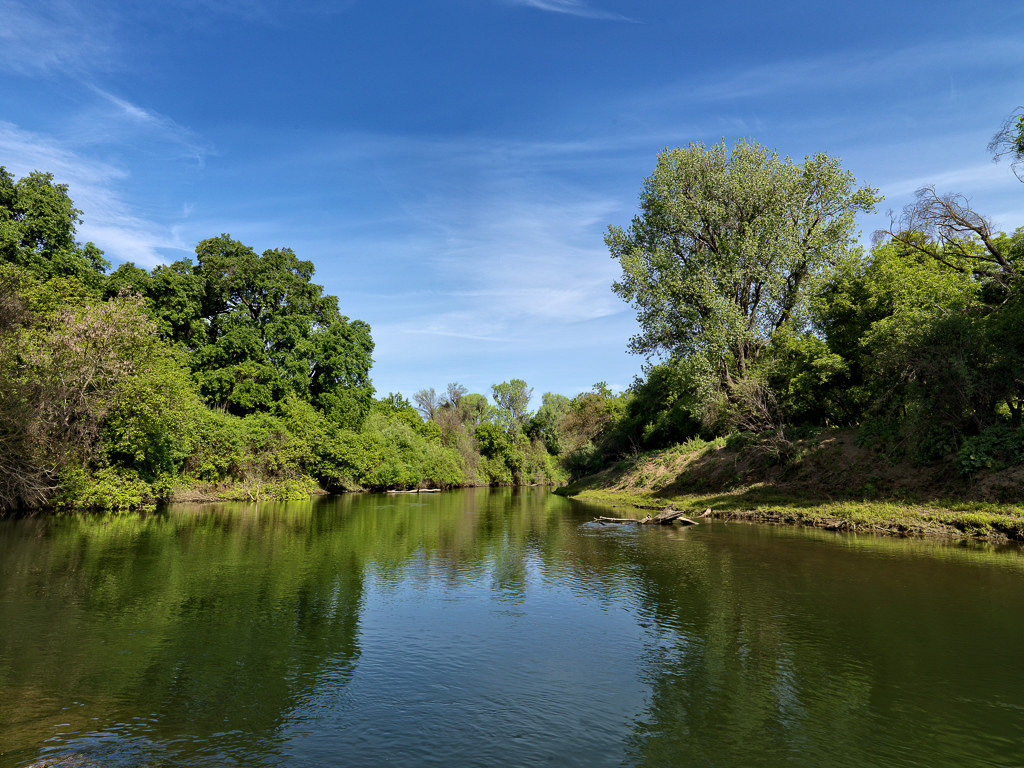 Caswell Memorial State Park Campground