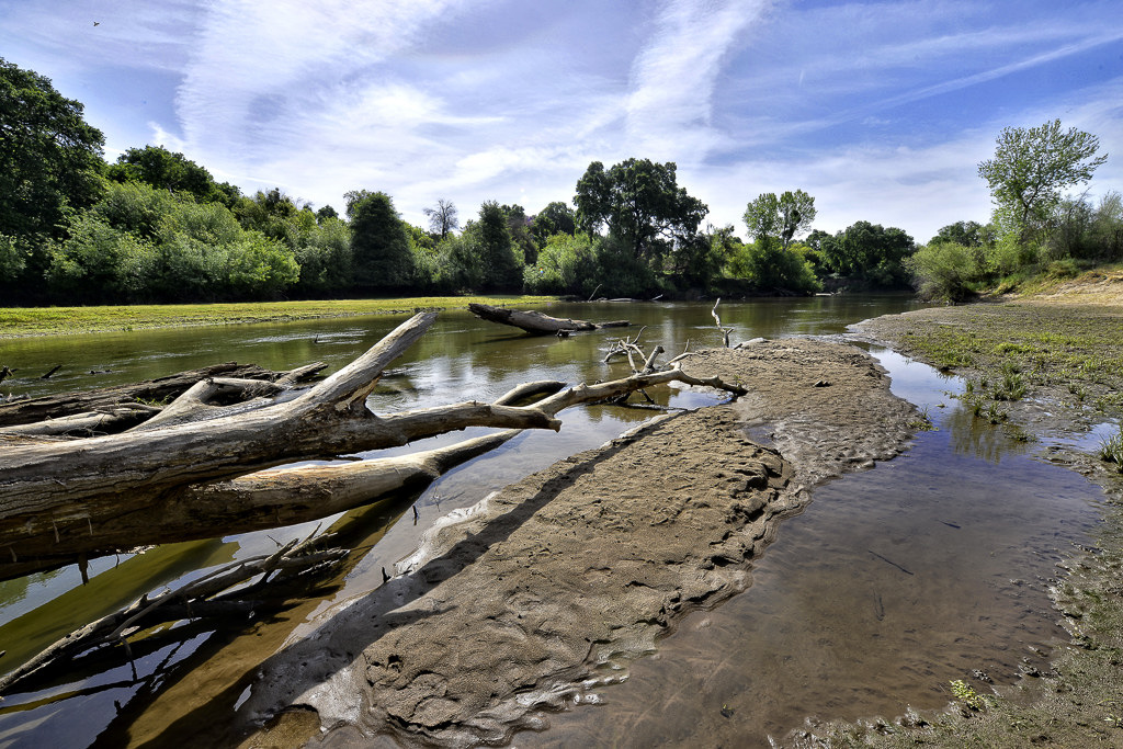 Caswell Memorial State Park Campground
