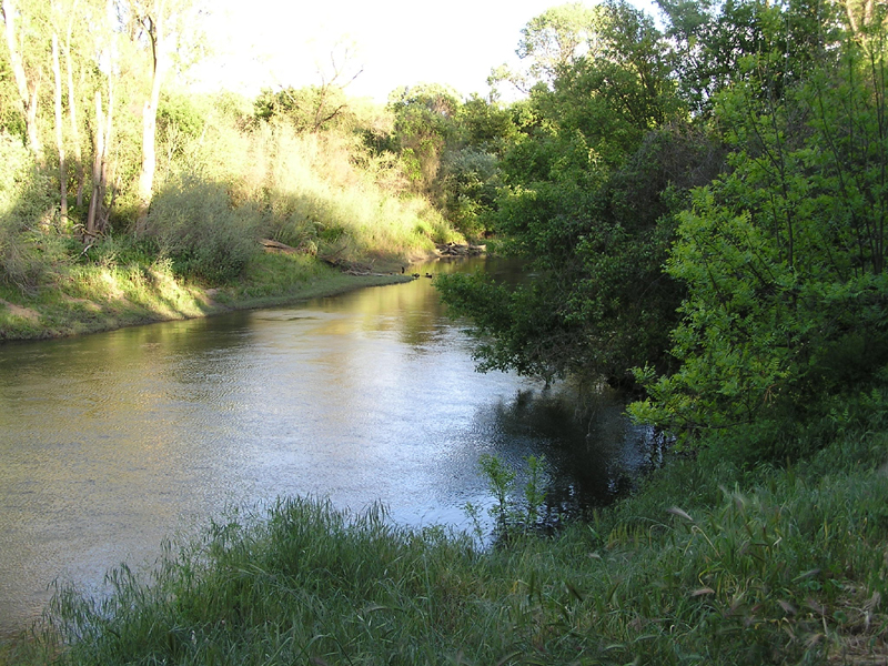 Caswell Memorial State Park Campground
