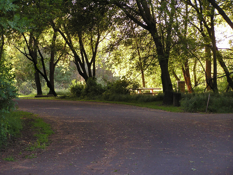 Caswell Memorial State Park Campground