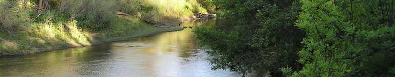 Caswell Memorial State Park Campground