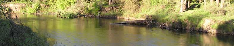 Caswell Memorial State Park Campground