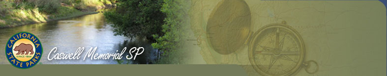 Caswell Memorial State Park Campground