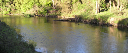 Caswell Memorial State Park Campground