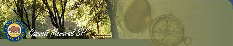 Caswell Memorial State Park Campground