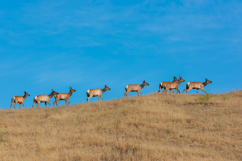 California State Parks