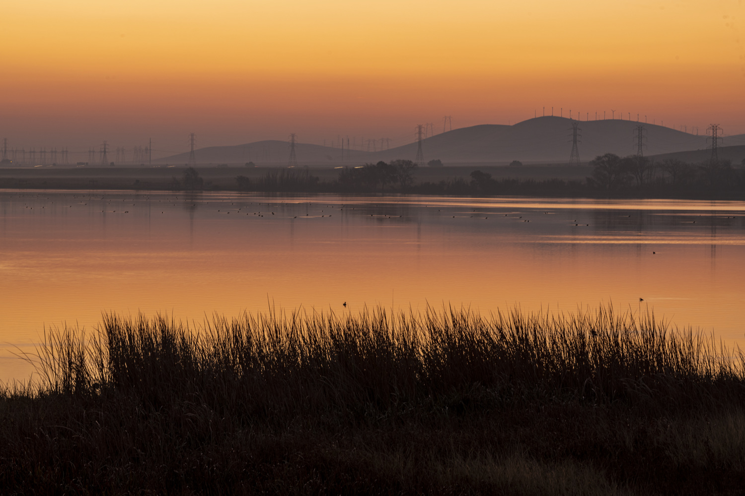 California State Parks