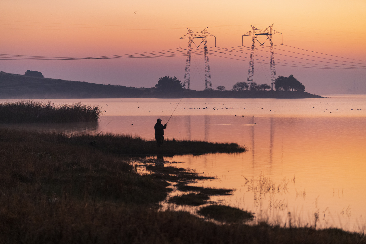 California State Parks