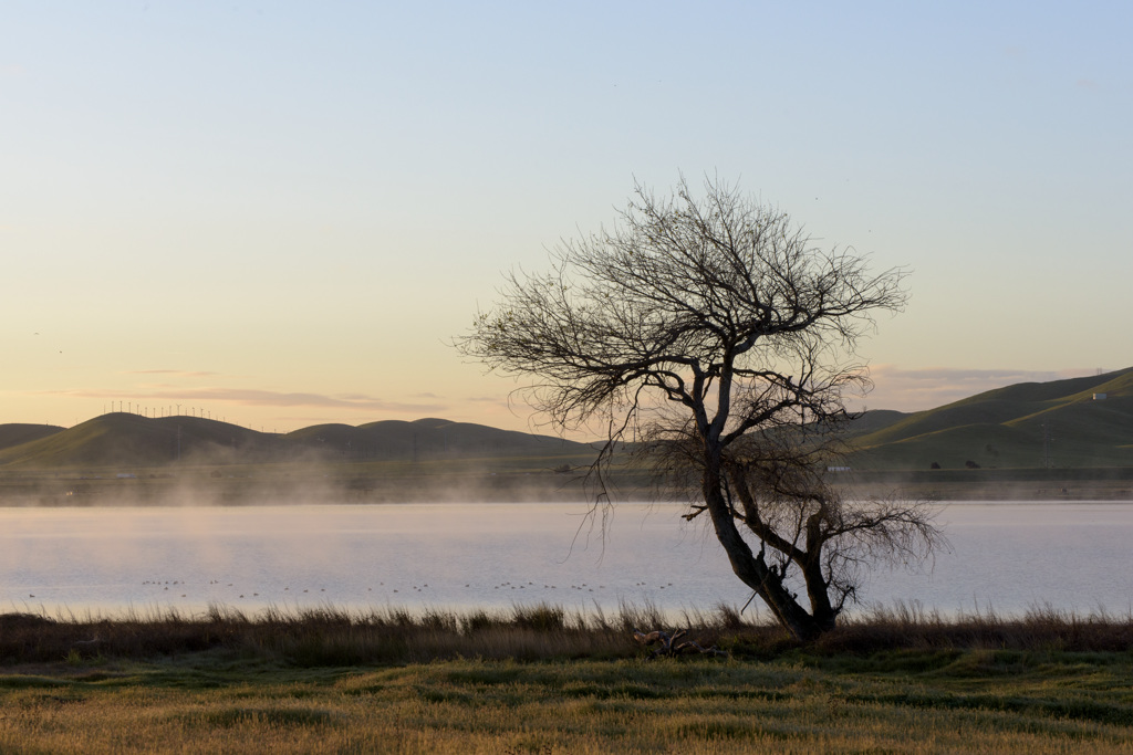 California State Parks