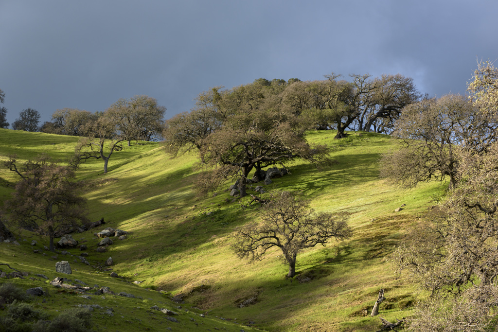 San Luis Reservoir State Recreation Area Group Campground