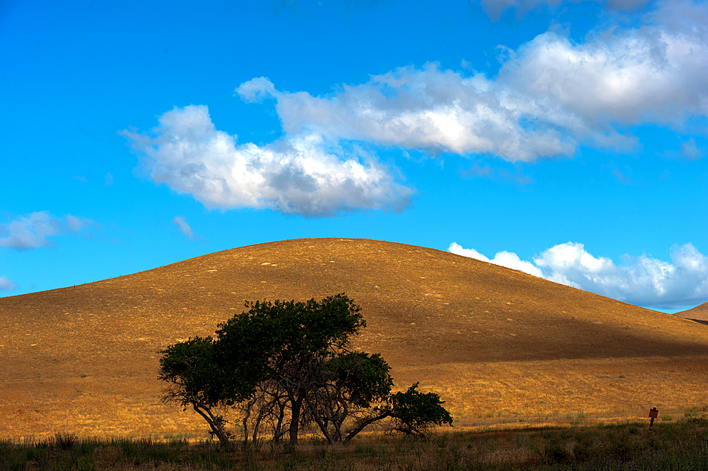 San Luis Creek Campground