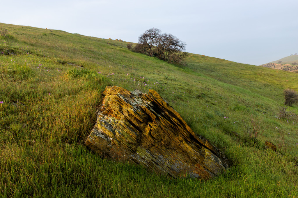 California State Parks