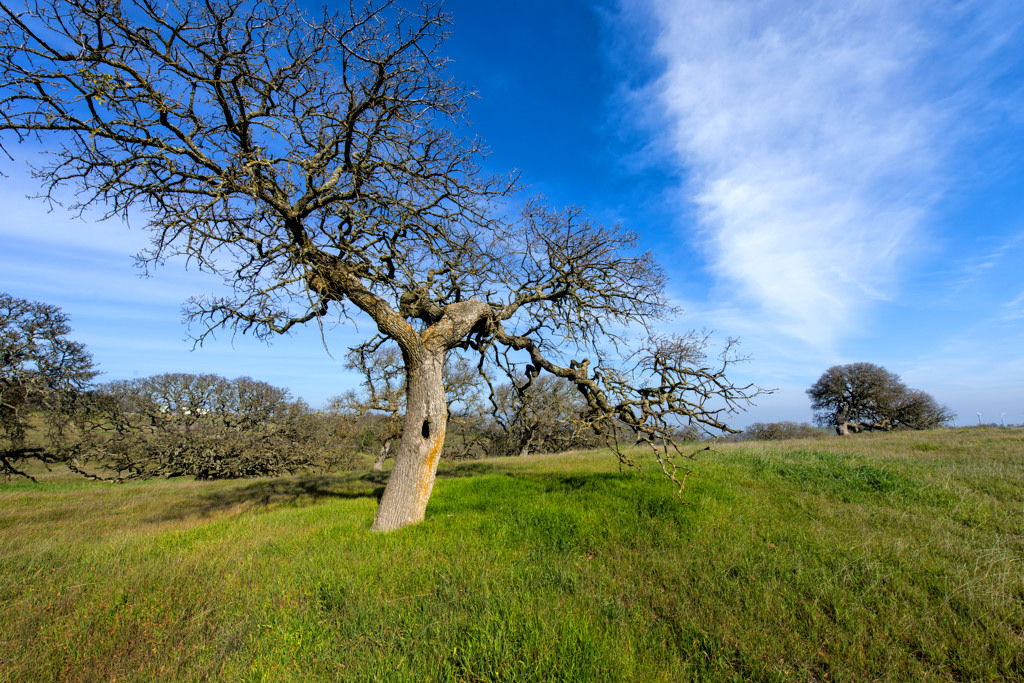 California State Parks
