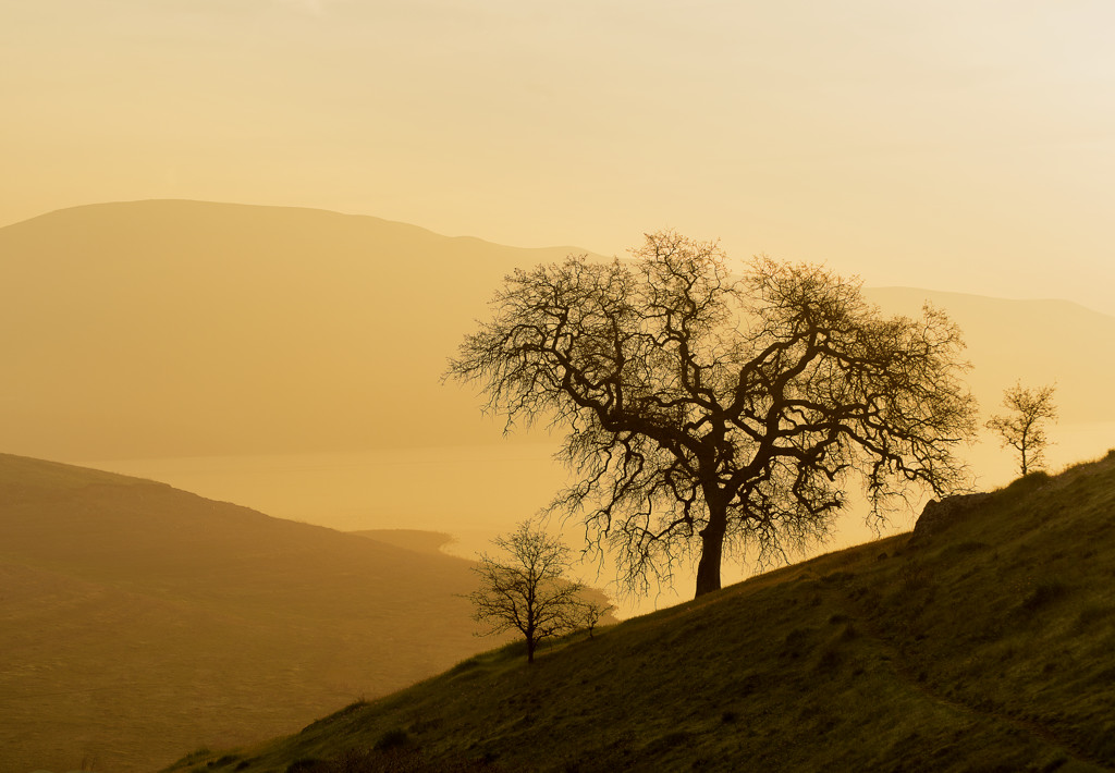 California State Parks