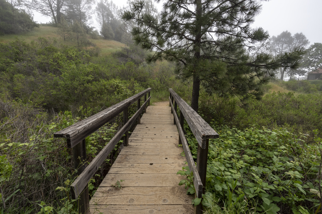 Manzanita Point Hike-In Group Campground