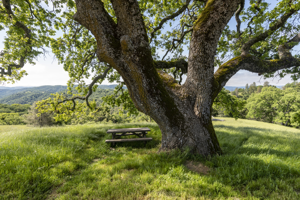 Coe Ranch Campground