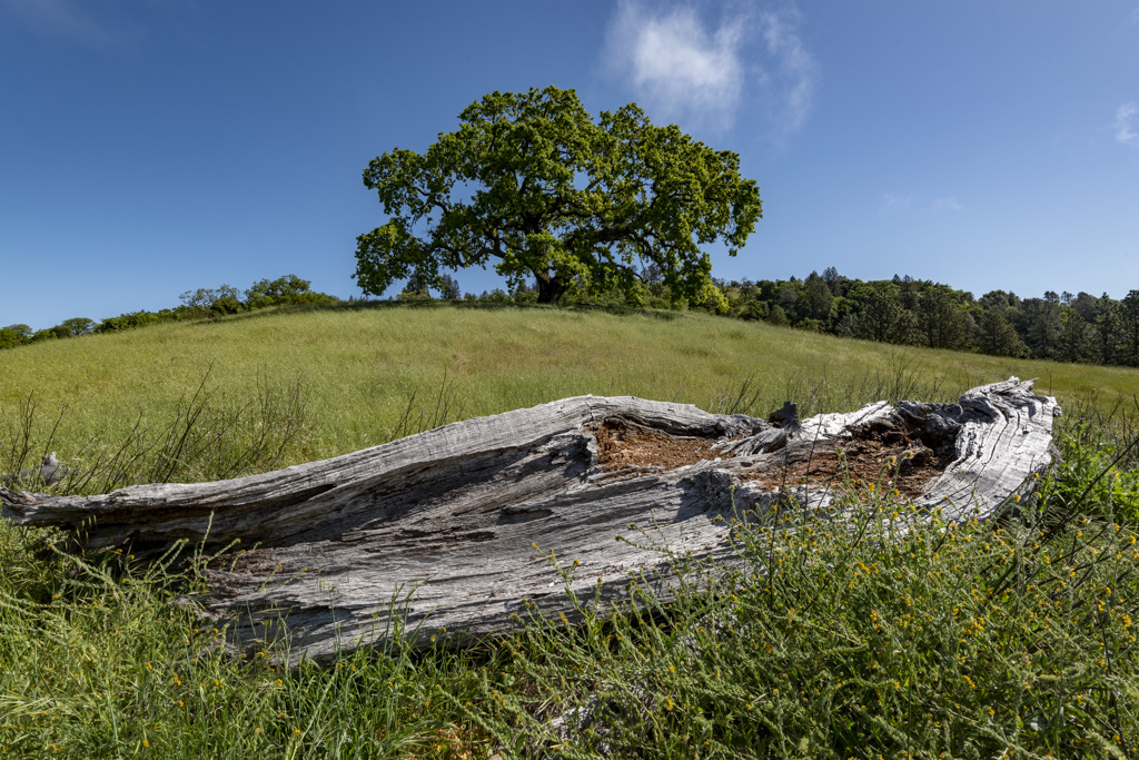 California State Parks