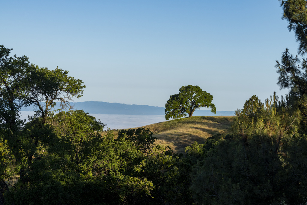 California State Parks