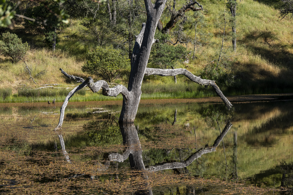 Coe Ranch Campground