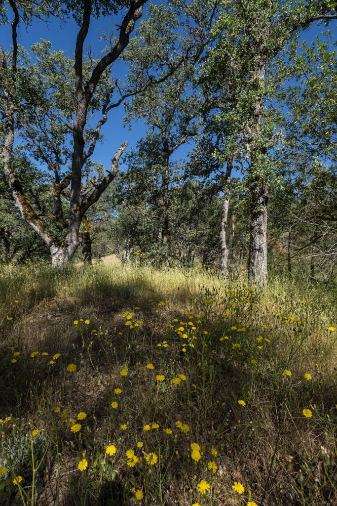 California State Parks
