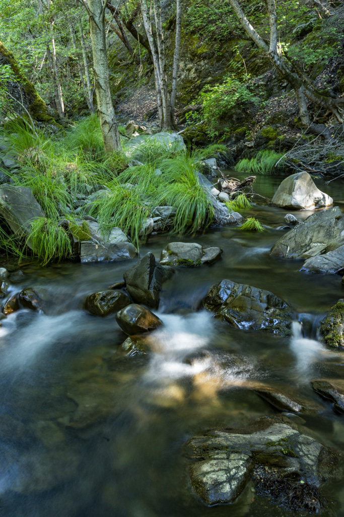 Coe Ranch Campground