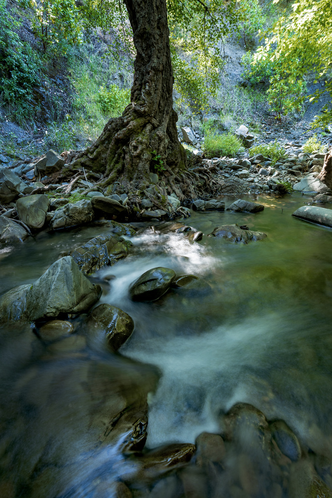 Coe Ranch Campground