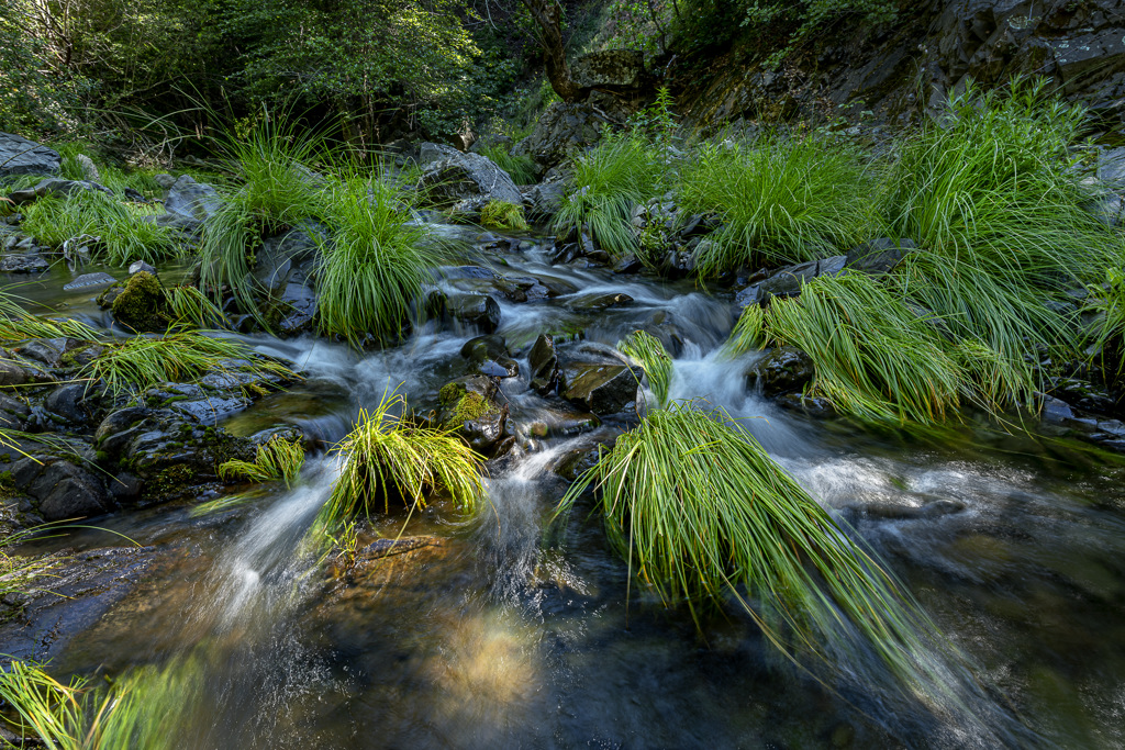 California State Parks