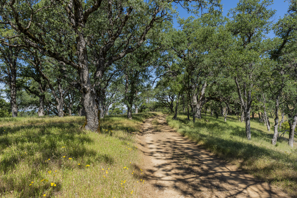 California State Parks